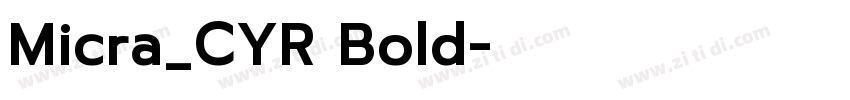 Micra_CYR Bold字体转换